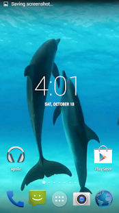 Dolphins HD. Video Wallpaper(圖5)-速報App
