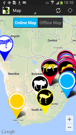 Africa: Live Safari Sightings