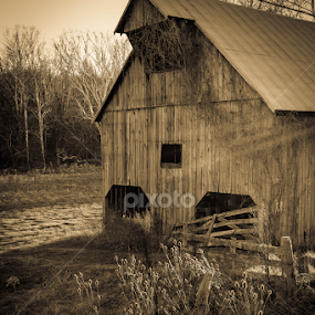 The Old Barn by Tonya Sheetz - Buildings & Architecture Other Exteriors