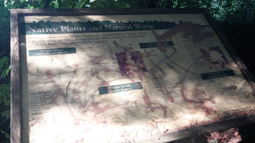 Native Plants on the Slough