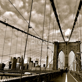 The Brooklyn by Carlos Casillas - Buildings & Architecture Bridges & Suspended Structures
