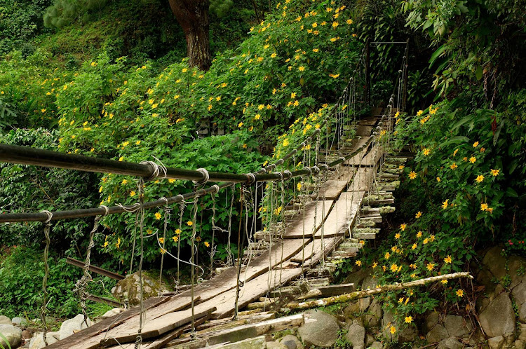 A foot bridge in Panama.