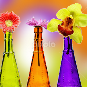 by Dipali S - Digital Art Things