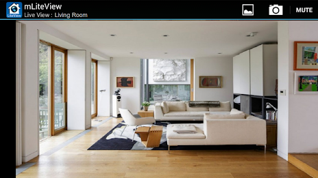mLiteView poster 3