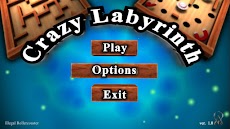 Crazy Labyrinth 3D - Liteのおすすめ画像3