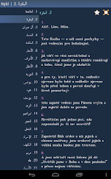 Quran in Czech poster 13