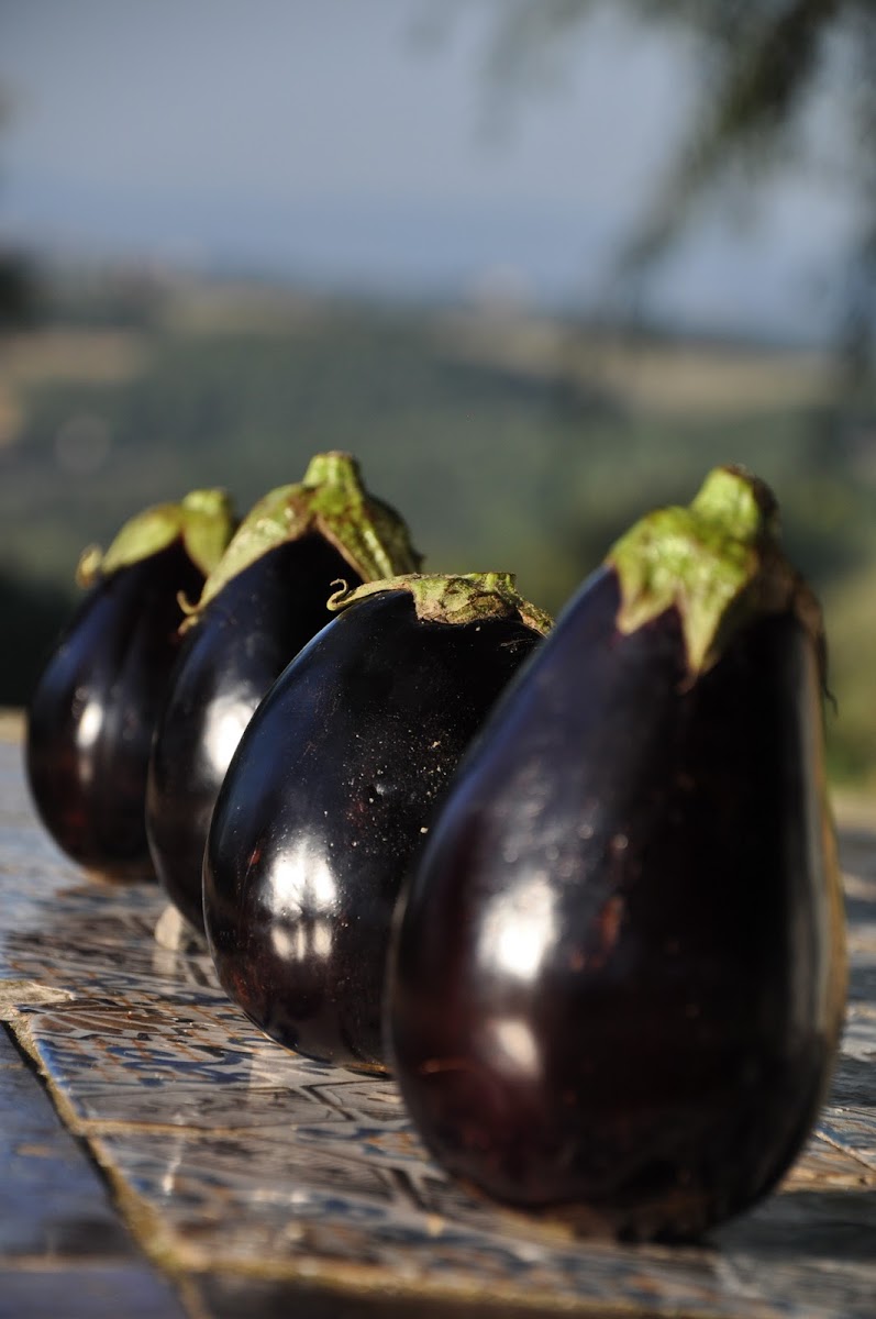 Eggplant (fruit)