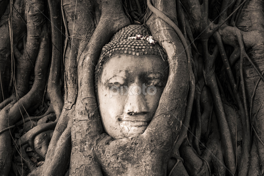 Head of Enlightenment by Yohanes Beny - Artistic Objects Still Life