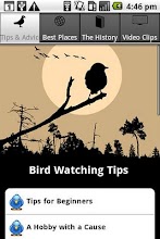 Bird Watching Tips APK Download for Android