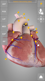 Heart 3D Anatomy Lite poster 4