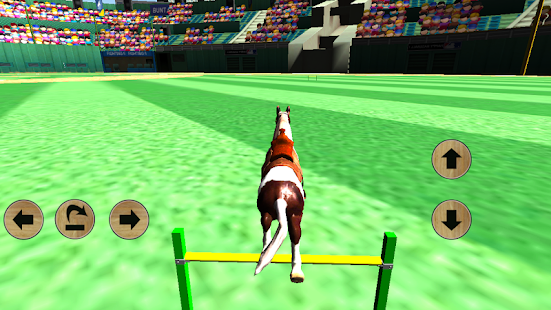 Horse Simulator 3D 2014