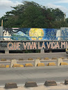 Graffiti Viva La Vida 