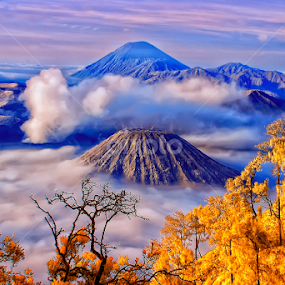 Bromo V 9.5 by Roy Ardy - Landscapes Mountains & Hills