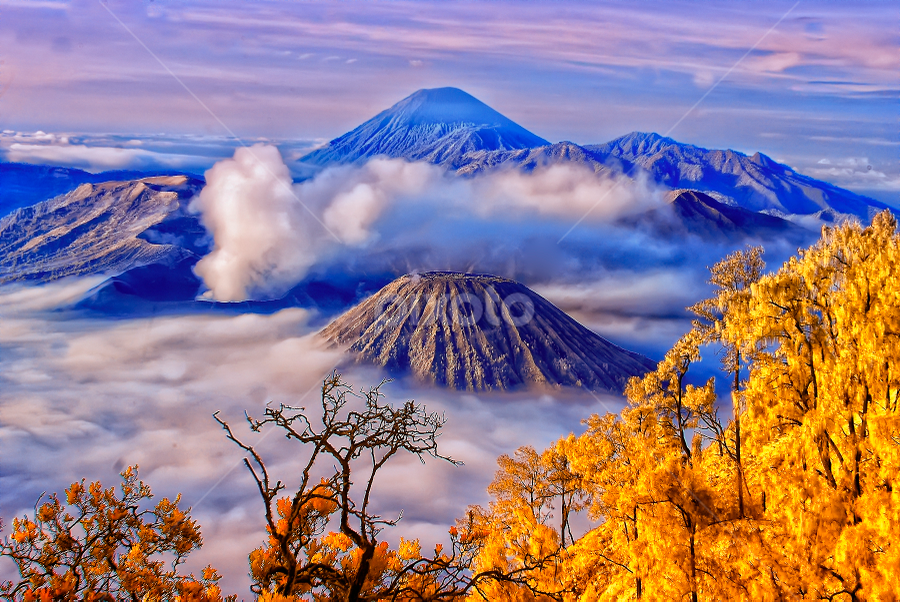 Bromo V 9.5 by Roy Ardy - Landscapes Mountains & Hills