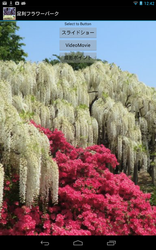 Android application AshikagaFlowerPark(J011) screenshort