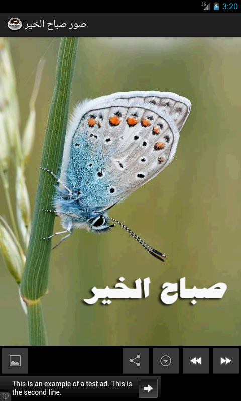 EE6BnT3ipQoEF6A_PYQlWd_bV_kHIOvdfY6lVX28B9gSVWlBBSfP1TcpgeFIJ9dS_g4=h900