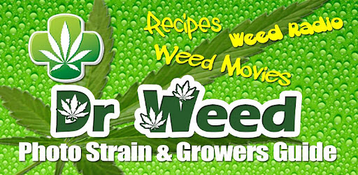 Dr Weed -  apk apps