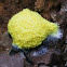 Scrambled egg slime