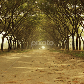 by Tauhidul Islam - Landscapes Prairies, Meadows & Fields