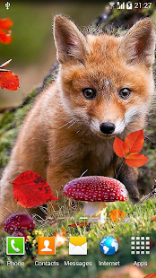 Autumn Live Wallpaper(圖3)-速報App