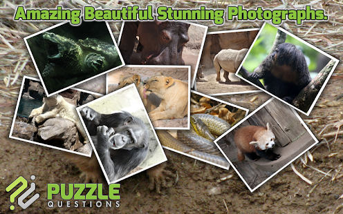 Zoo Puzzles Screenshots 9