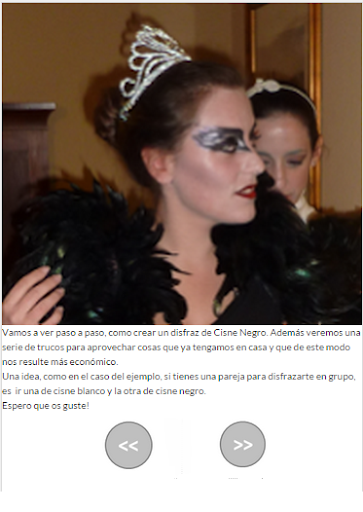 BlackSwan Costume