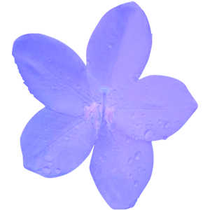 微水木 logo