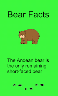 Bear Facts Screenshots 4