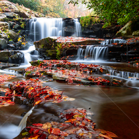 Cascading Flowers by Jim Harmer - Landscapes Waterscapes