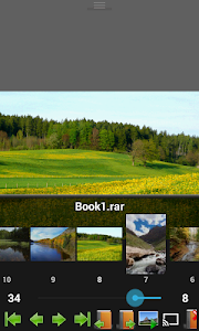 Perfect Viewer v4.3e [Donate]