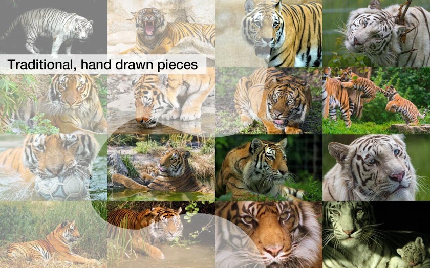 Jigsaw Puzzles: Tigers Screen 3