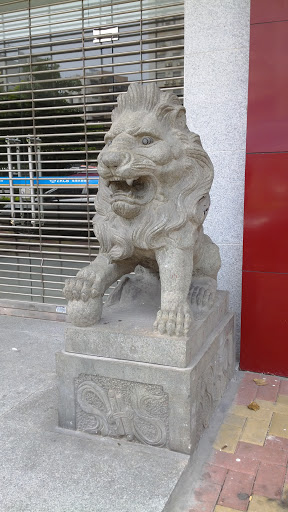 Stone Lion of CCB Ningxi