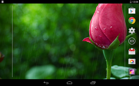 Rain Rose Live Wallpaper 1.2 Apk, Free Personalization Application – APK4Now
