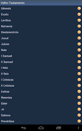 Portuguese Holy Bible poster 7