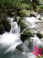 三芝八連溪農園餐廳