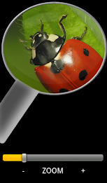 Magnifying Glass Free poster 2