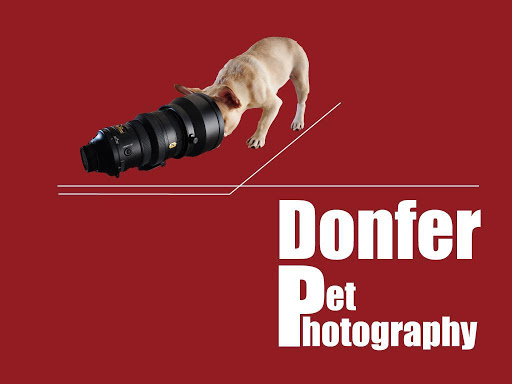 免費下載攝影APP|Donfer Pet Photography app開箱文|APP開箱王