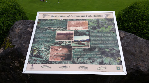 Restoration Of Steam And Fish Habitat
