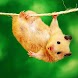3D cute hamster
