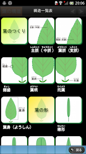 季節の野草・山草図鑑(圖3)-速報App