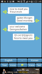 Pro Interpreter-Translator poster 5