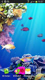 Under water live wallpaper