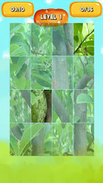 Custard apple Jigsaw Puzzles poster 5