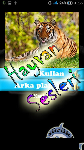 Hayvan Sesleri ve Resimler