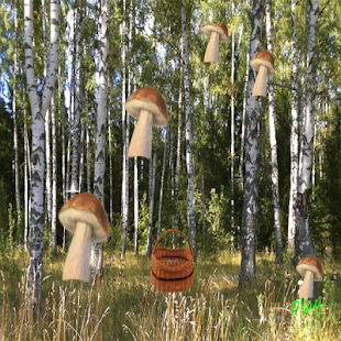 Lastest mushrooms and busket APK for Android