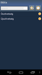 Hungarian Holy Bible poster 1