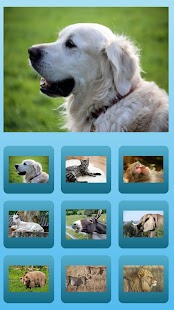 How to install animal sound effects 1.2 apk for android