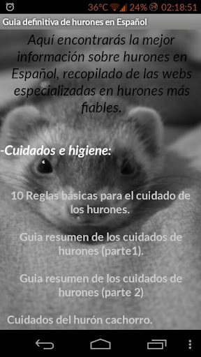 El cuidado de los hurones