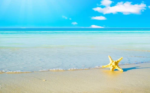 Beach Hd Wallpapers Android Apps On Google Play
