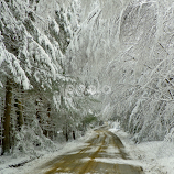 Winters Warning  by Monroe Phillips -  